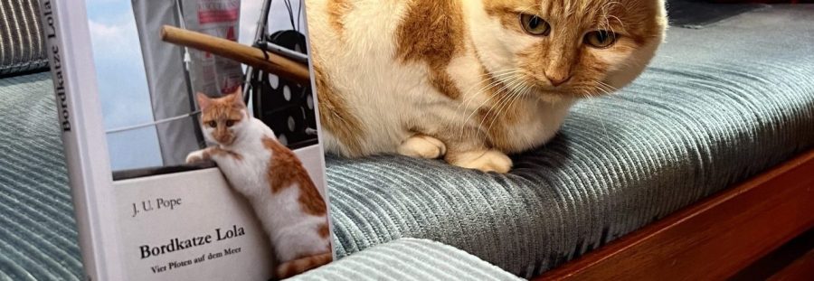 1 IMG 3970 scaled e1729580098416